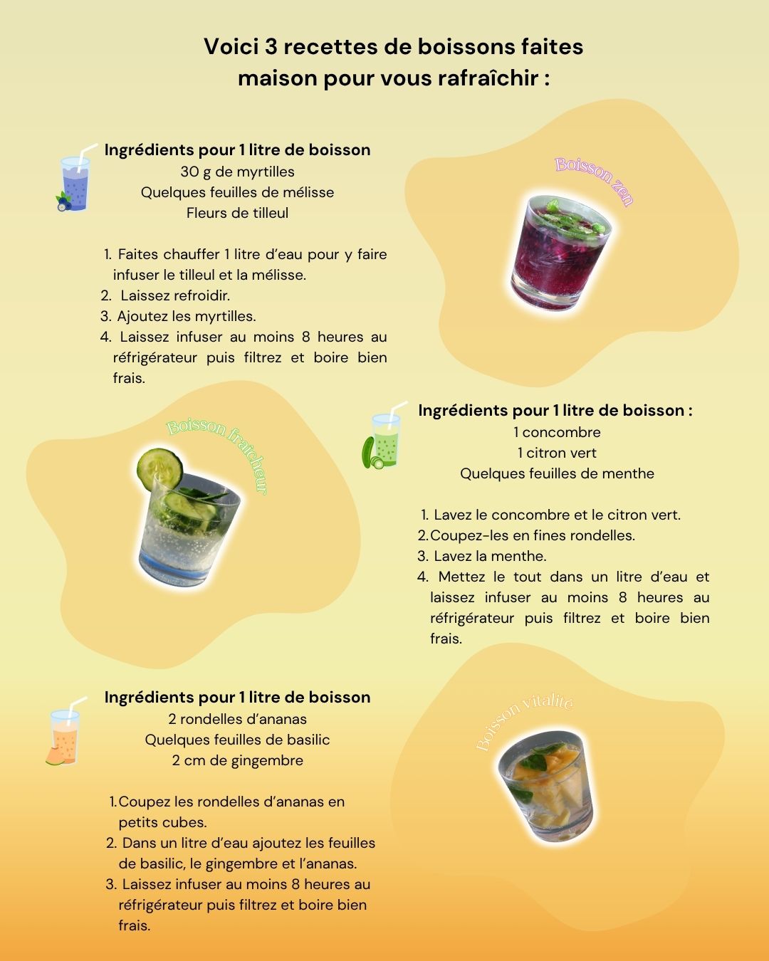 Boissons rafraîchissantes maisons pour l’été (2)